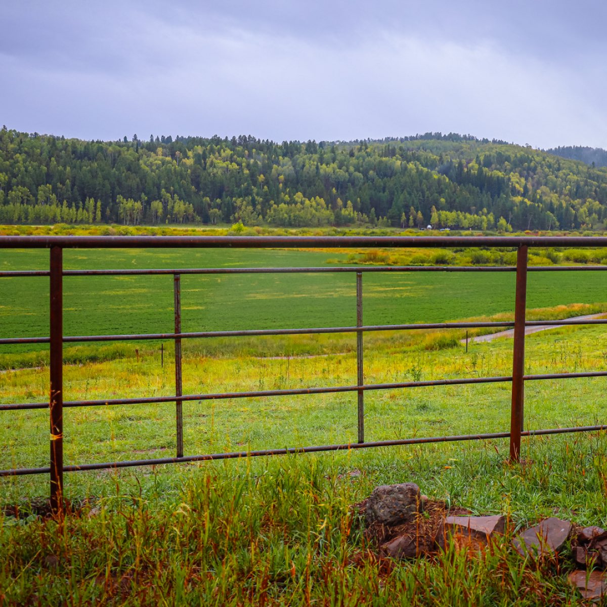 Premium Continuous Fence